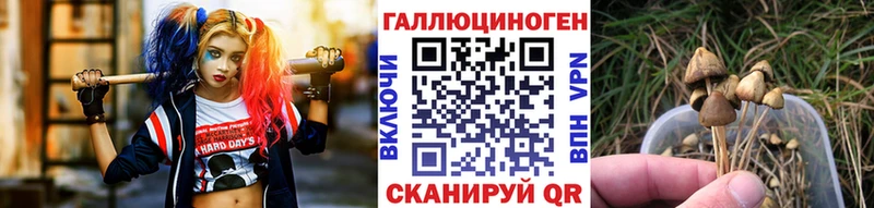 Псилоцибиновые грибы мухоморы  купить наркотик  Смоленск 